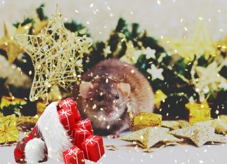 Декор дома на Новый год: чтобы мышь принесла удачу